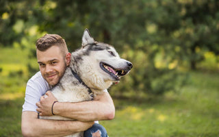 Cuidado de Perros en Casa: Consejos Esenciales para Mantener a tu Mascota Feliz y Saludable
